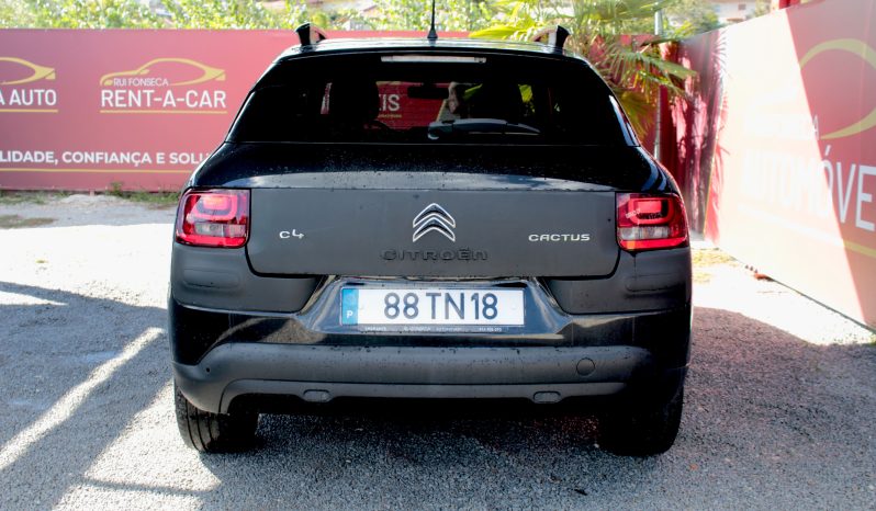 Citroen C4 Cactus completo