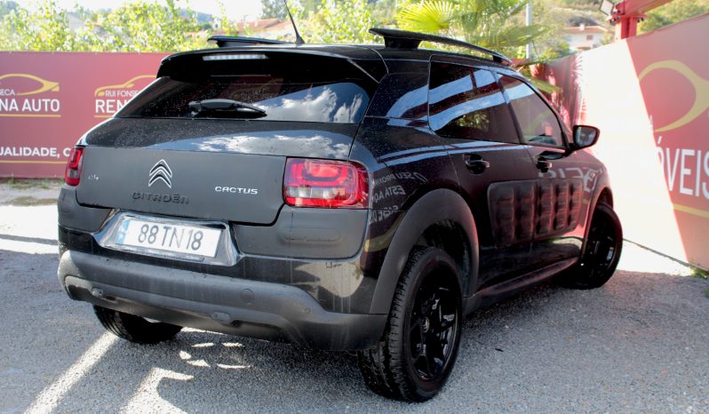 Citroen C4 Cactus completo