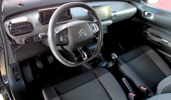 Citroen C4 Cactus completo