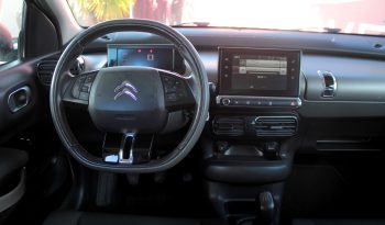 Citroen C4 Cactus completo
