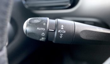 Citroen C4 Cactus completo